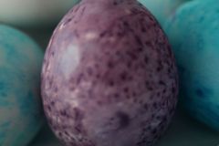 Eier-faerben15