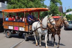 Waldschenke-Ausflug Juni 2025