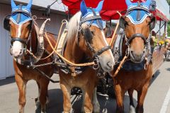 Waldschenke-Ausflug01