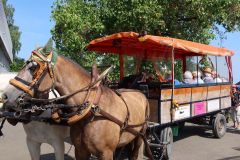 Waldschenke-Ausflug07