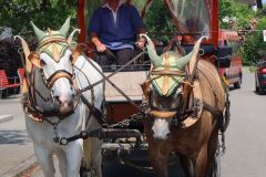 Waldschenke-Ausflug14