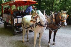 Waldschenke-Ausflug22