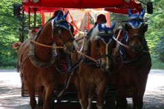 Waldschenke-Ausflug91