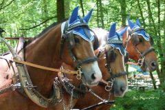 Waldschenke-Ausflug92