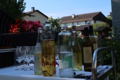 Einweihung-Holzibus02