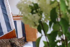 2025-07-23_Lagerfeuer01