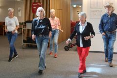 2025-09-09_Wolf-Solo01