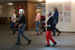 2025-09-09_Wolf-Solo04