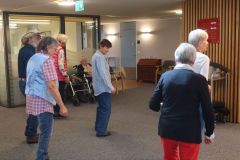 2025-09-09_Wolf-Solo07