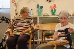 2025-09-09_Wolf-Solo13