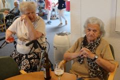 2025-09-09_Wolf-Solo14