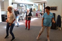 2025-09-09_Wolf-Solo32