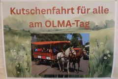 Olmatagt14