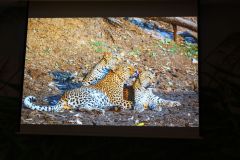 2025-11-10_Tiergeschichten_11