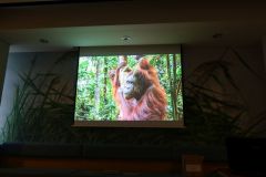 2025-11-10_Tiergeschichten_19