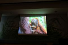 2025-11-10_Tiergeschichten_23