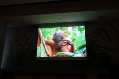 2025-11-10_Tiergeschichten_24