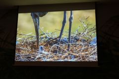 2025-11-10_Tiergeschichten_26