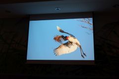 2025-11-10_Tiergeschichten_27