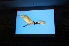 2025-11-10_Tiergeschichten_29