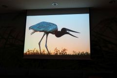 2025-11-10_Tiergeschichten_31