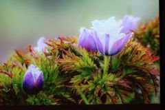 2025-11-10_Tiergeschichten_39