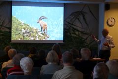 2025-11-10_Tiergeschichten_41