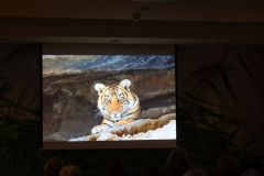 2025-11-10_Tiergeschichten_44