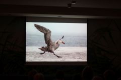 2025-11-10_Tiergeschichten_46