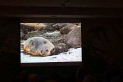 2025-11-10_Tiergeschichten_50