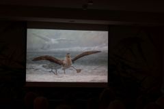 2025-11-10_Tiergeschichten_51