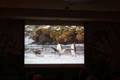 2025-11-10_Tiergeschichten_52