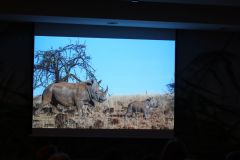 2025-11-10_Tiergeschichten_53