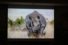 2025-11-10_Tiergeschichten_54