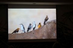 2025-11-10_Tiergeschichten_57