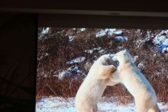 2025-11-10_Tiergeschichten_60