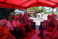 20260624_Waldschenke14