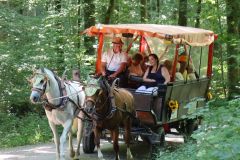 20260624_Waldschenke19