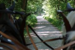 20260624_Waldschenke21