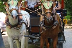 20260624_Waldschenke23