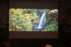 2026-01-30_Traumhafte-Schweiz07