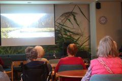 2026-01-30_Traumhafte-Schweiz08