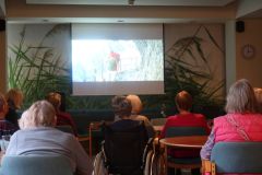 2026-01-30_Traumhafte-Schweiz16