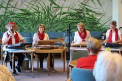 2026-06-05_Zitehergruppe_frohes-Saitenspiel08