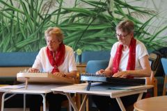 2026-06-05_Zitehergruppe_frohes-Saitenspiel10