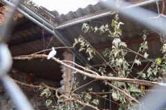 20240911_Ausflug_Plaettli-Zoo_57