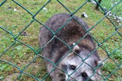 20240911_Ausflug_Plaettli-Zoo_67