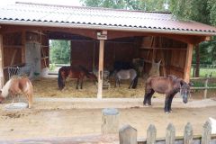 20240911_Ausflug_Plaettli-Zoo_75