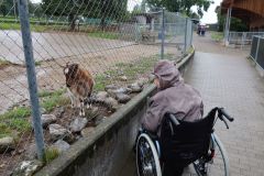 20240911_Ausflug_Plaettli-Zoo_76