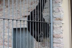 20240911_Ausflug_Plaettli-Zoo_78